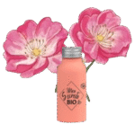 HUILE De ROSE MUSQUÉE