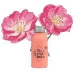 HUILE De ROSE MUSQUÉE