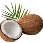 HUILE de COCO   Séborégulateur, nourrissante, assouplissante