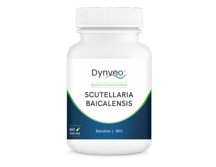 SCUTELLARIA BAICALENSIS   Format de 60 Gélules -  Flexibilité : Articulations et Tendons