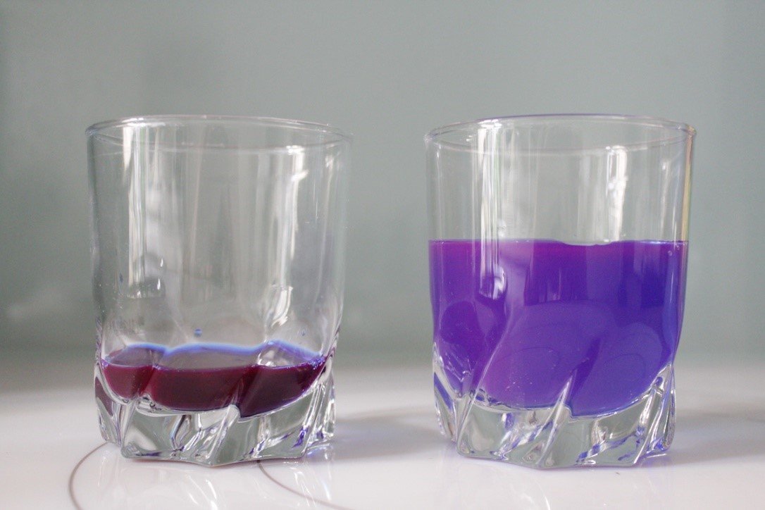 Dilution de phycocyanine dans un verre d'eau pour cure matinale à jeun