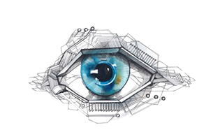 Huile de KRILL SUPERBA 500ml par gélule - Douleurs articulaires - Donne de la vitalité - Réduit la fatigue - 60 gélules pour une cure de 1 mois