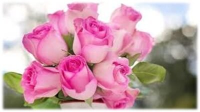 Savon au Lait D’ÂNESSE BIO + Parfum Rose - Tous types de peaux - 100 g