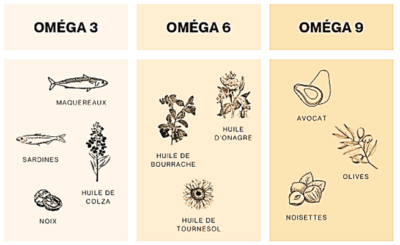 Oméga 3 - Huile de Krill