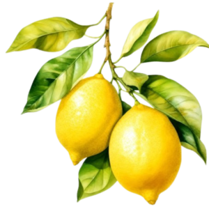 CITRON Joies et plaisirs