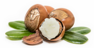 CRÈME LÉGÈRE VISAGE au Lait D’ÂNESSE BIO - Toute la famille - 50 ml