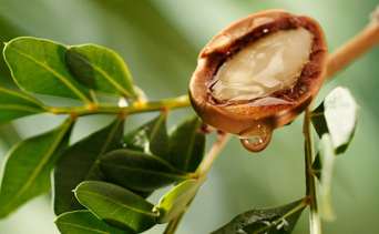 Savon au Lait D’ÂNESSE BIO + Huile d'ARGAN - Sans parfum - Tous types de peaux - 100 g